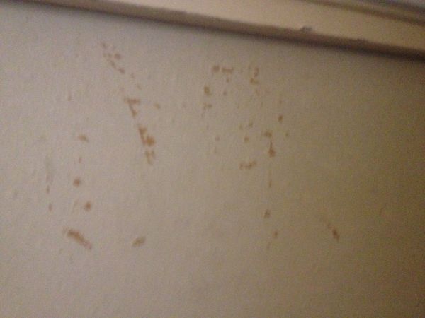 107791_image_4.jpg