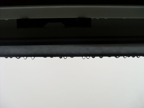 107808_SL384308_1.jpg