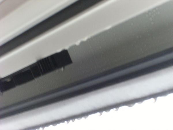 107808_SL384309_1.jpg