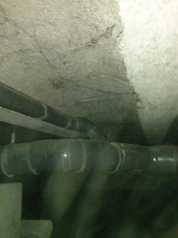 107914_CAM00903_2.jpg