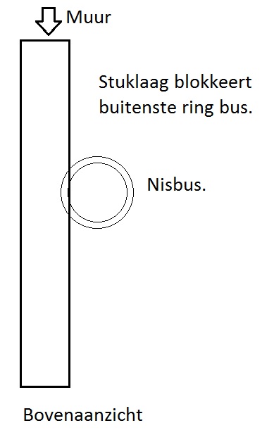 107991_nisbus_1.jpg