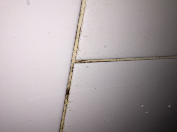 108098_image_1.jpg
