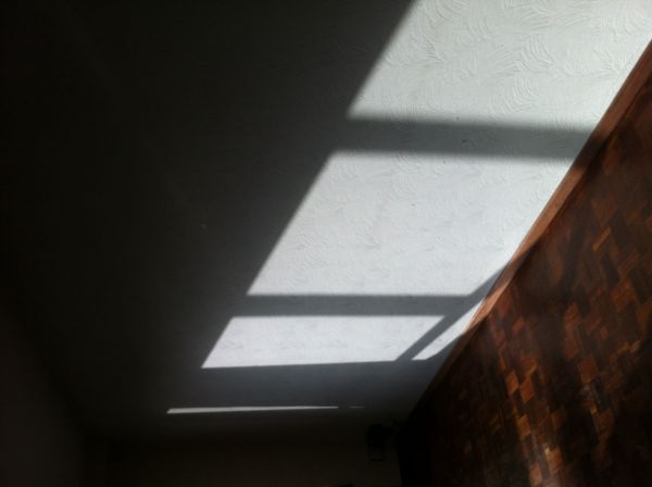 108141_image_1.jpg