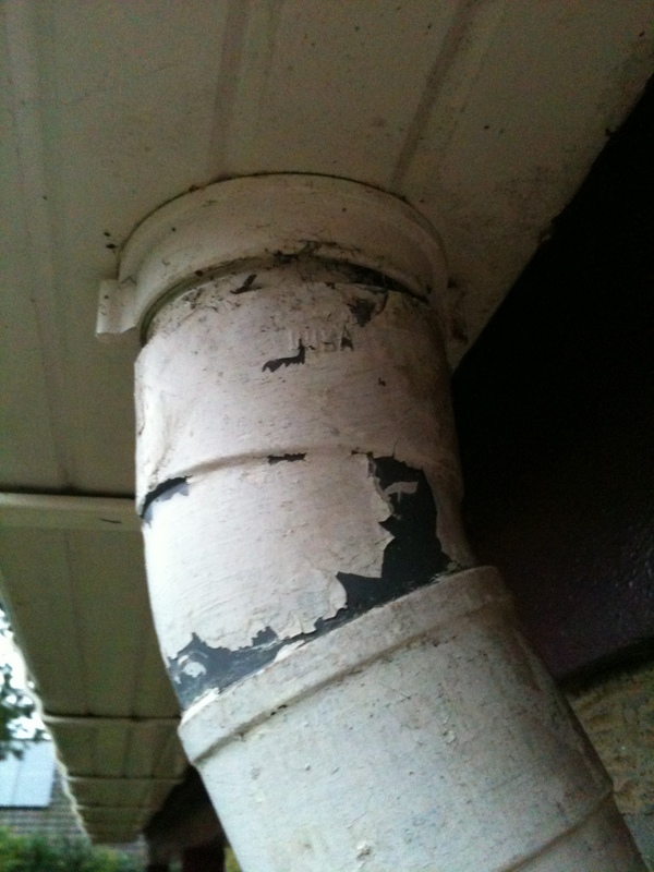 108305_IMG_0863_1.jpg