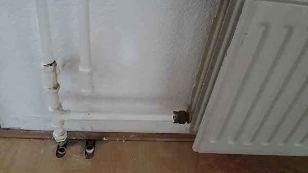 108390_20180827_174005_1.jpg