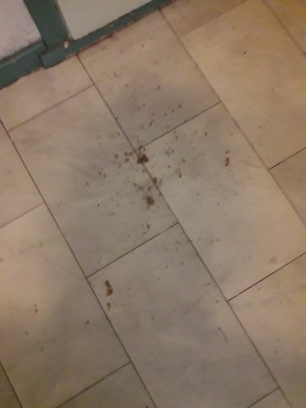 108396_20180811_174519_1.jpg