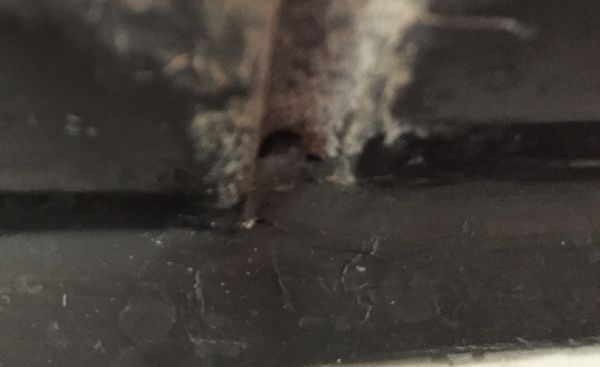 108456_20150323_071725749_iOS_2.jpg
