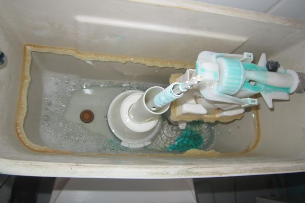 zweer kas ornament Hoe lekkende wc herstellen? | KLUSIDEE.NL