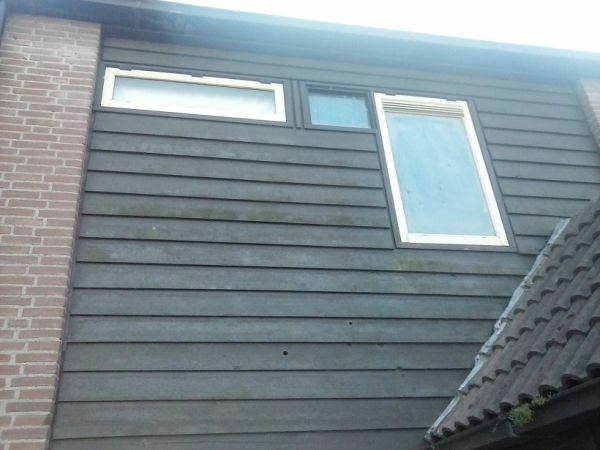 108531_Welk_hout_1.jpg