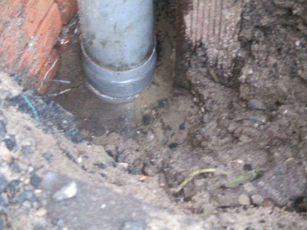 108856_IMG_1120_1.jpg
