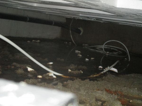108856_IMG_1131_1.jpg