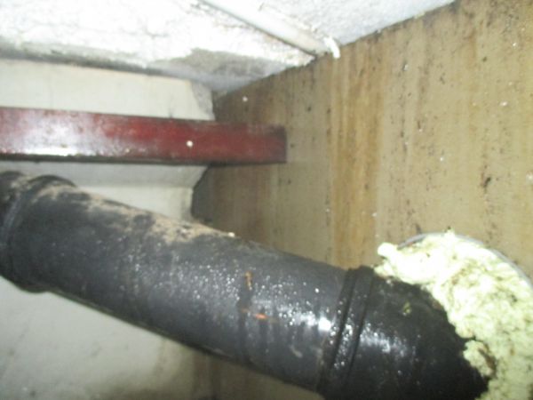 108856_IMG_1133_2.jpg