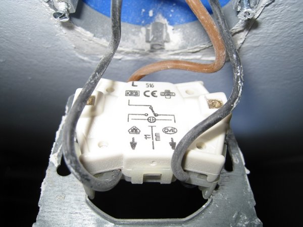 109029_IMG_10755__1.jpg