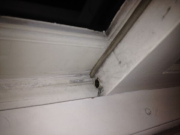 109303_foto_3_1.jpg