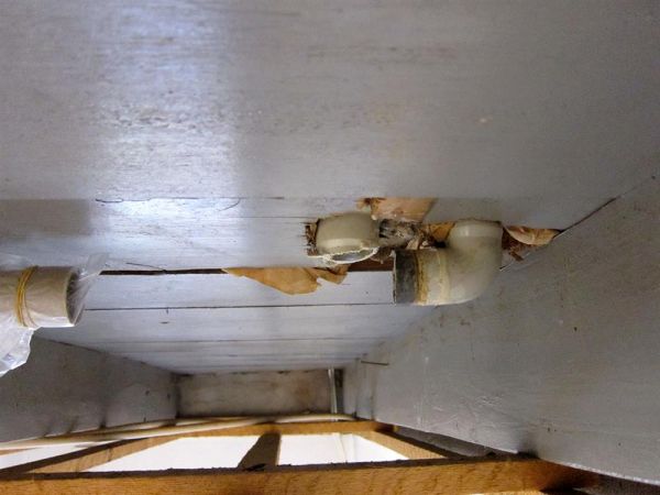 10960_IMG_4393_Custom_1.jpg