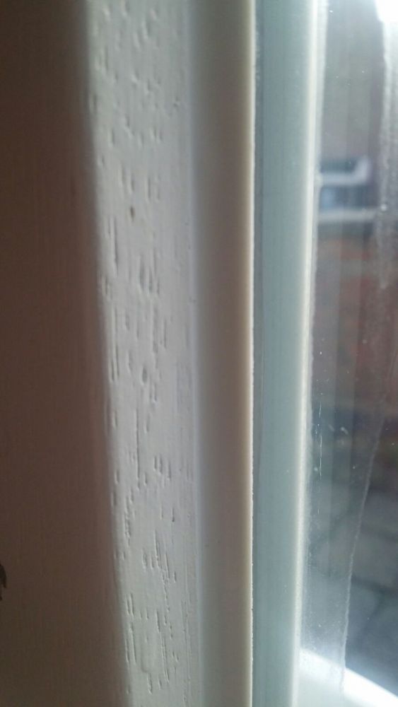 109948_foto1_1.jpg