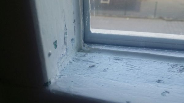 109948_foto2_1.jpg