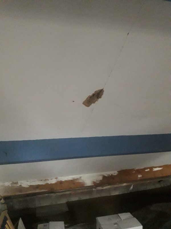 109989_20190316_125317min_1.jpg