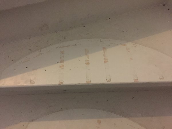 110045_TrapTrede_1.jpg