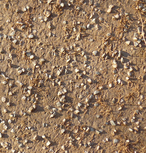 110171_afbladderende_verf_detail2_2.jpg