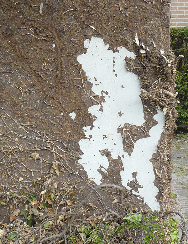 110171_afbladderende_verf_detail_2.jpg