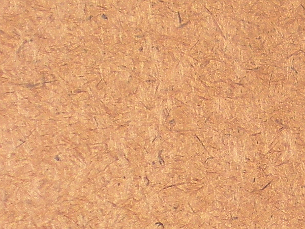 110244_02_1.jpg