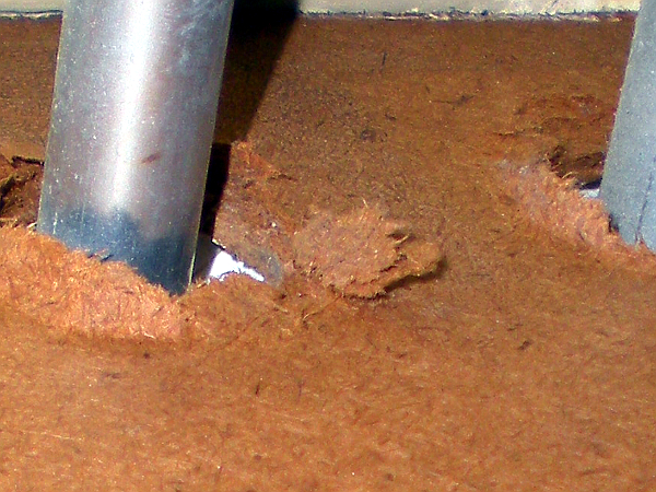 110244_03_1.jpg
