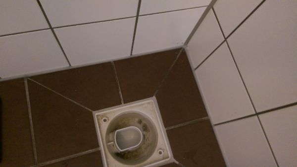 110504_IMAG0629_1.jpg