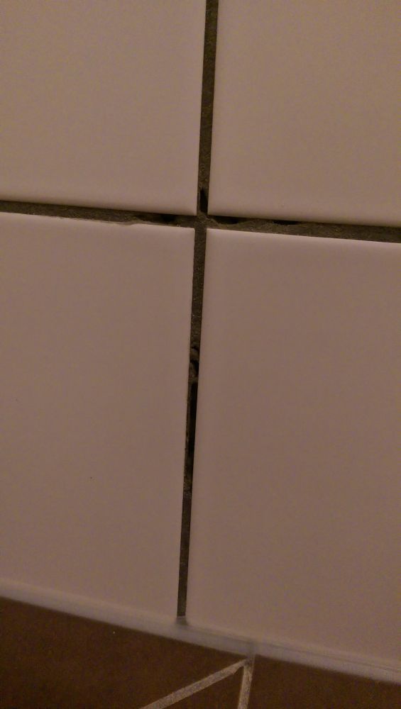 110504_IMAG0631_1.jpg