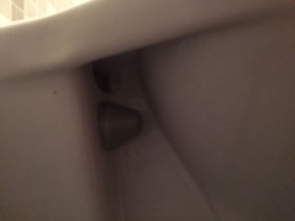 110768_IMG_3764_1.jpg