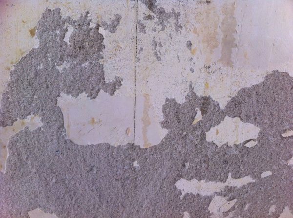 110832_foto_3.jpg