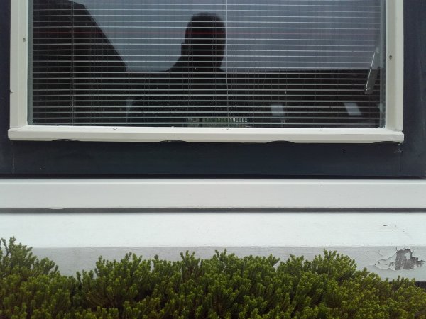 111304_glaslat_rechts_1.jpg