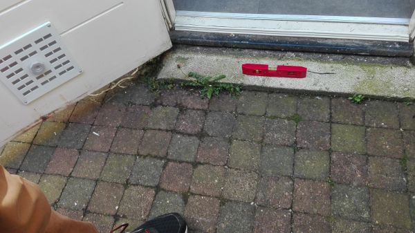 111305_IMG_20160501_113523_1.jpg