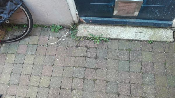 111305_IMG_20160501_113556_1.jpg