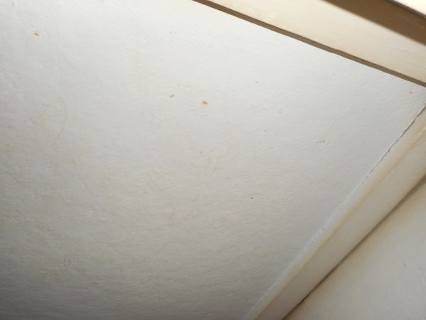 111391_DSCN1188_2.jpg