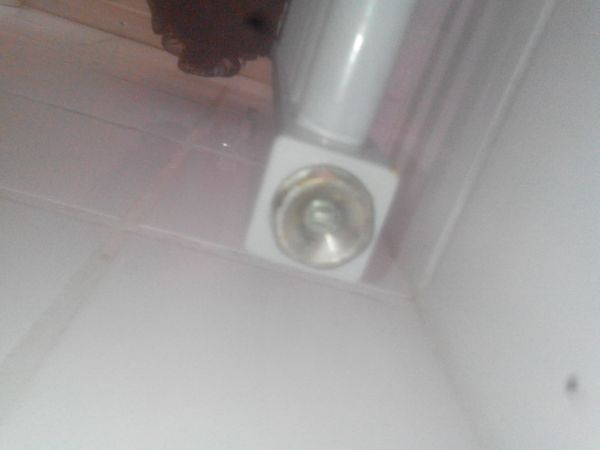 111402_IMG_20150929_121503_1.jpg