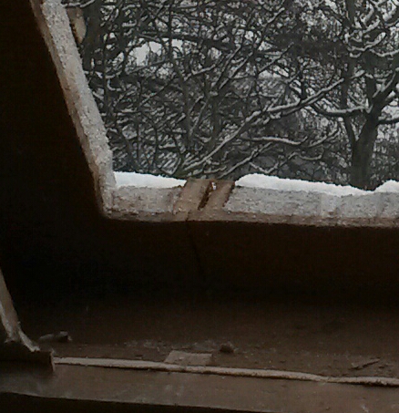 112259_20160307_0924321_1.jpg