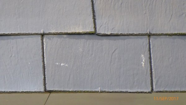 112263_P1110047_2.jpg
