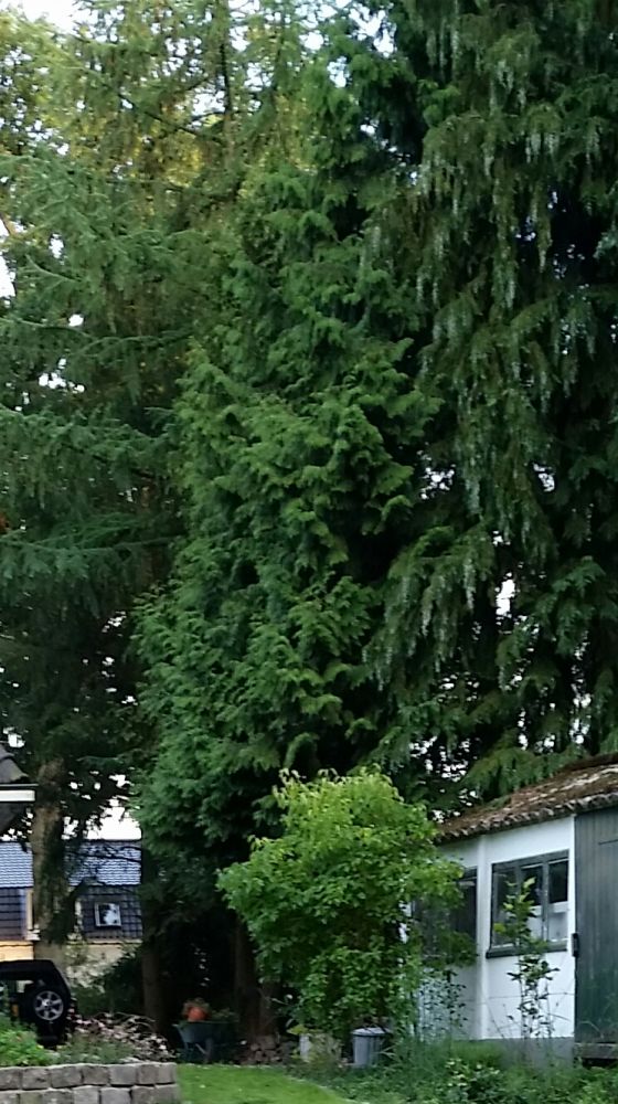 112748_20160128_073138_1.jpg