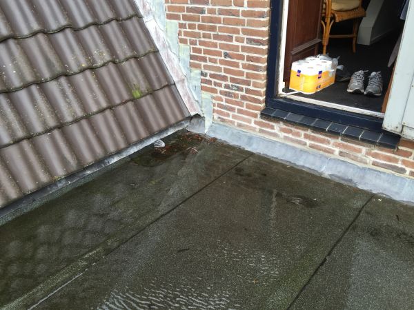 112798_IMG_0601_2.jpg