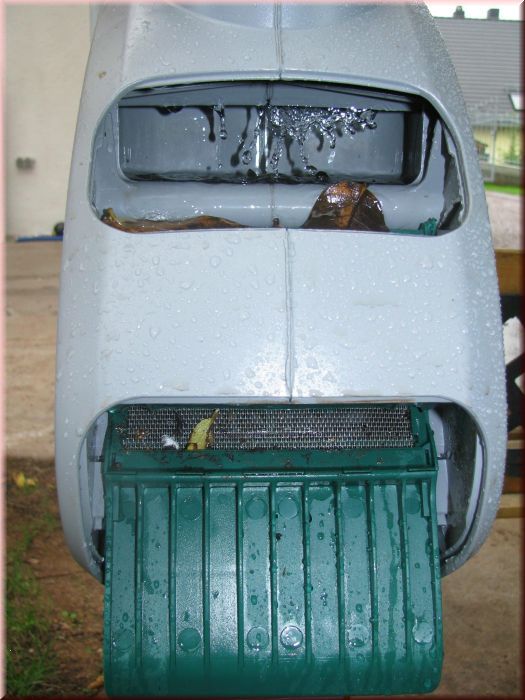 113048_Rainus_1.jpg