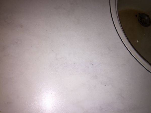113074_image_6.jpg