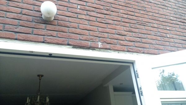 113247_IMG_20160623_053717_1.jpg