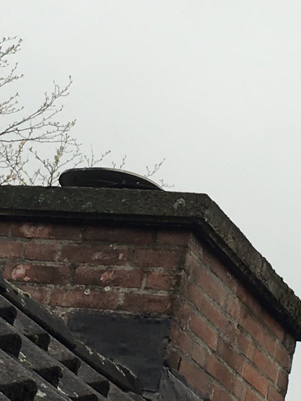 113300_IMG_1170_1.jpg
