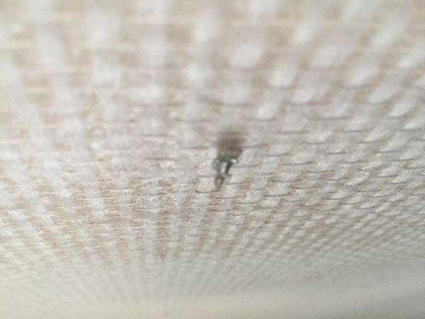 113459_image_1.jpg