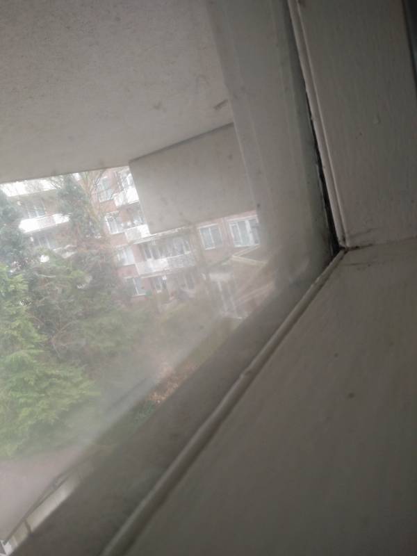 113518_IMG_20161229_121831_1.jpg