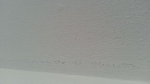 113604_20160513_122553_2.jpg