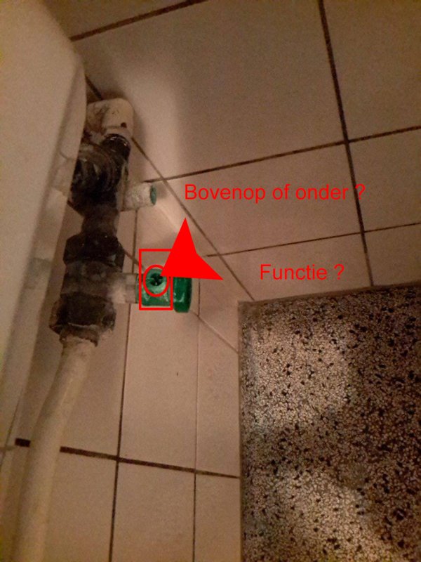 113716_stukje_2.jpg