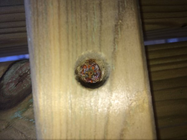 113807_IMG_5264_2.jpg