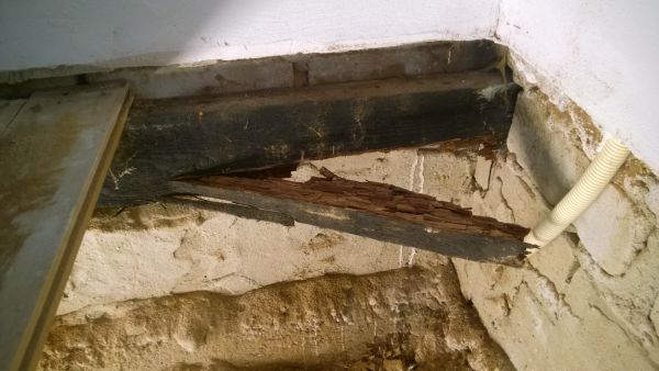 113881_WP_20161027_017_1.jpg